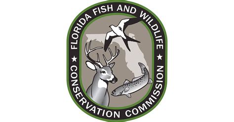 Florida Fwc Careers