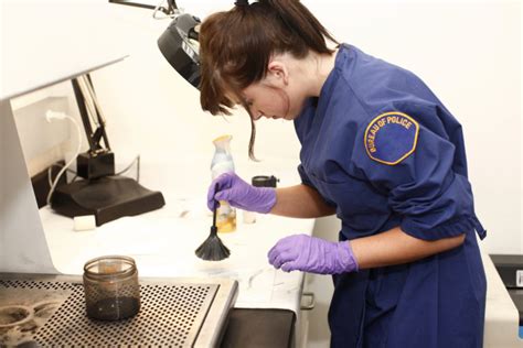 Forensic Nursing Careers Forensic Nursing Careers