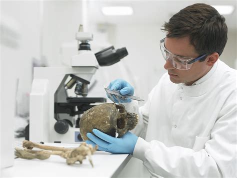 Forensic Studies Careers Forensic Studies Careers