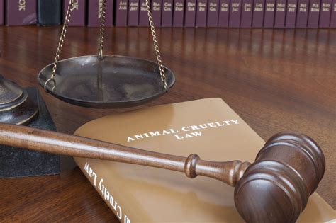 Free Animal Law Guide