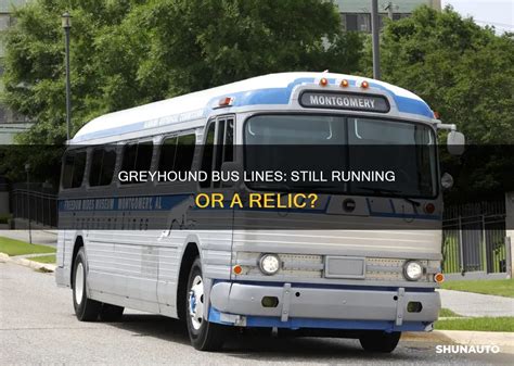 Greyhound Bus Lines Still Running Or A Relic Shunauto