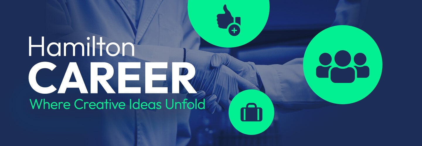 Hamilton Careers Hamilton Careers