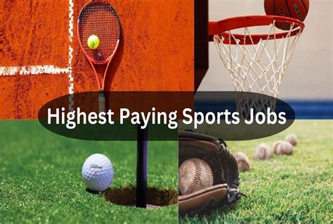 Highest Paying Sports Careers