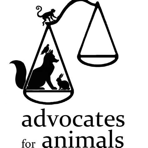 How To Be The Best Advocate What Are The Characteristics Of Our Best Animal Advocates Varc 2025