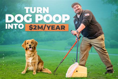 How To Start A 2M Year Pooper Scooper Business Upflip How To Start A 2M Year Pooper Scooper Business Upflip