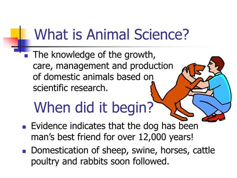 Is Animal Science A Good Major Exploring The Benefits Of An Animal Is Animal Science A Good Major Exploring The Benefits Of An Animal
