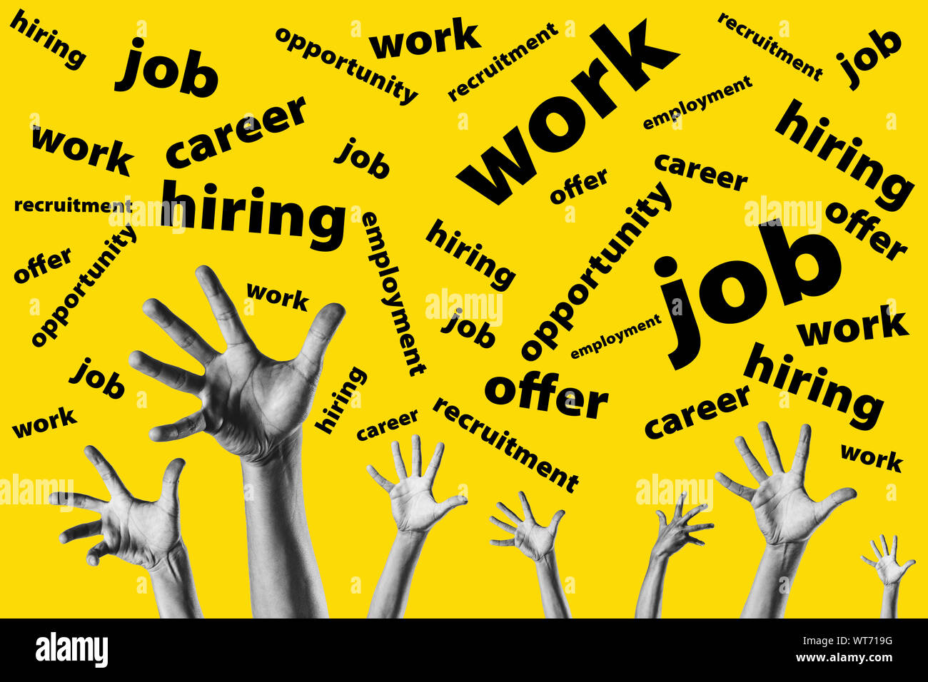 Job Career Work Opportunity Words Road Signs Stock Image Image 31918731 Job Career Work Opportunity Words Road Signs Stock Image Image 31918731
