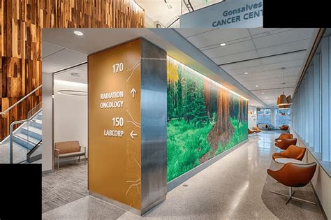John Muir Health Walnut Creek Osc Magnum Drywall John Muir Health Walnut Creek Osc Magnum Drywall