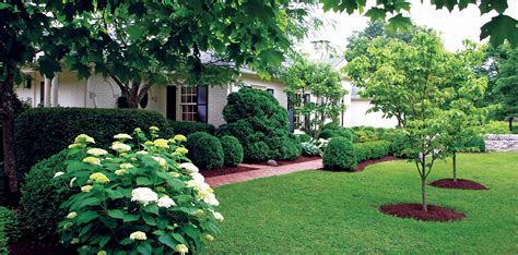 5 Landscaping Tips
