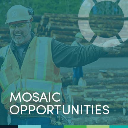 Mosaic Careers Mosaic Careers