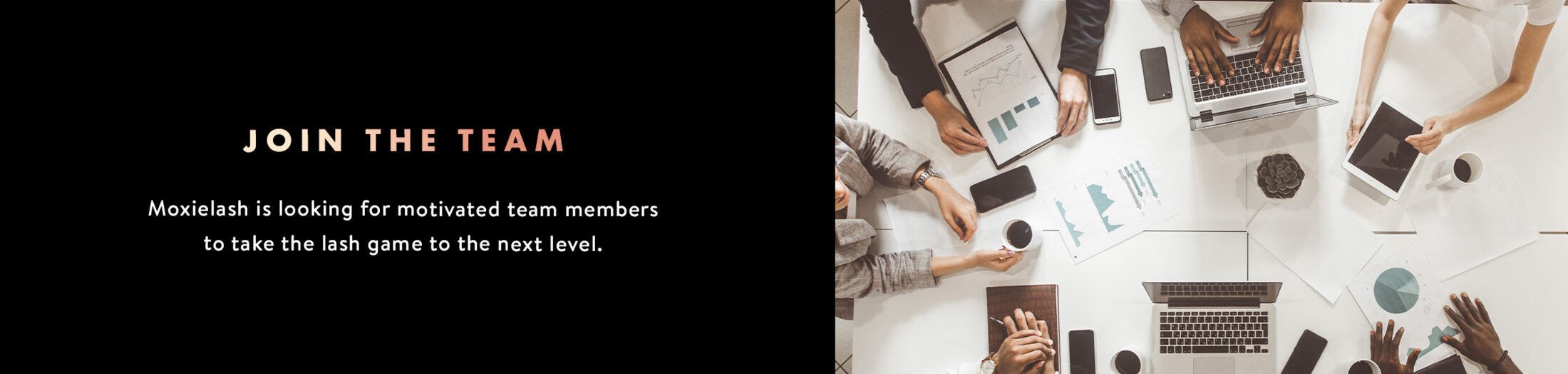 Moxie Careers