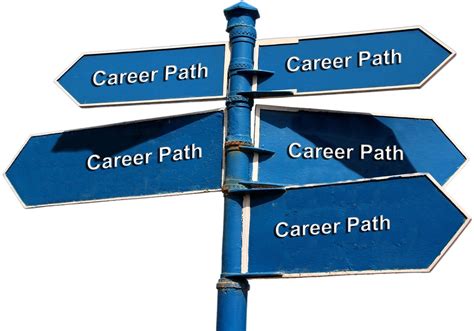 Multiple Career Paths Multiple Career Paths