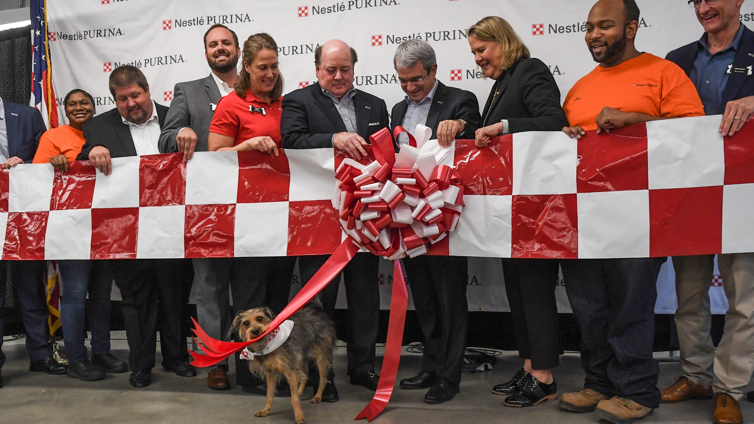 New Nestle Purina Factory In Hartwell Georgia To Create Jobs In Upstate Sc New Nestle Purina Factory In Hartwell Georgia To Create Jobs In Upstate Sc