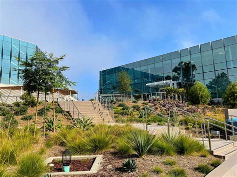 Organogenesis Inc Intersect Management Organogenesis Inc Intersect Management