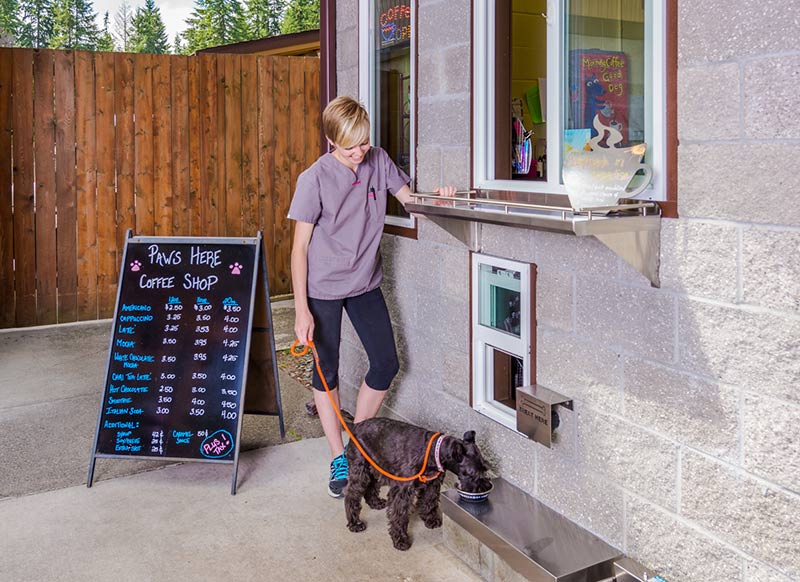 Pet Paradise Careers