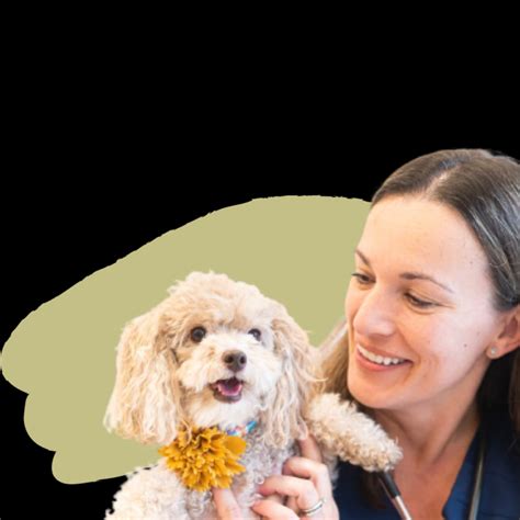 Petfolk Careers