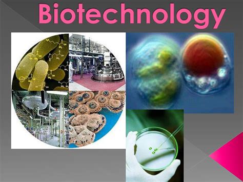 Ppt What Is Biotechnology Powerpoint Presentation Free Download