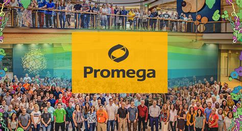 Promega Careers Promega Careers