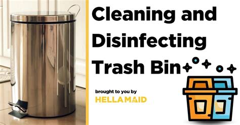 Proper Way To Clean And Disinfect Your Trash Can Proper Way To Clean And Disinfect Your Trash Can