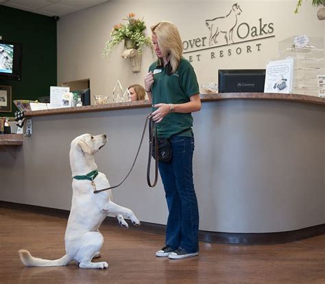 Rover Oaks Pet Resort Careers And Jobs