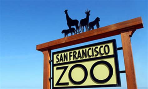 San Francisco Zoo Careers San Francisco Zoo Careers