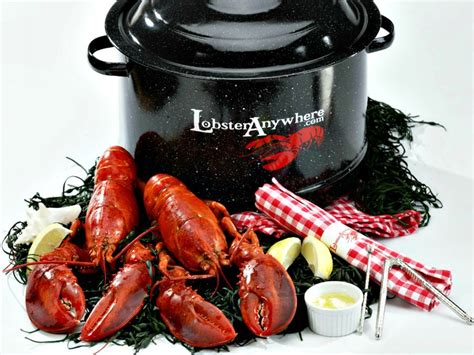 Sanford Florida Paradise Fresh Maine Lobster Delivered To Your Sanford Florida Paradise Fresh Maine Lobster Delivered To Your