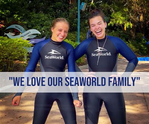 Seaworld Florida Careers