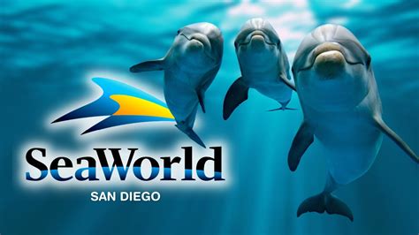 Seaworld San Diego Careers