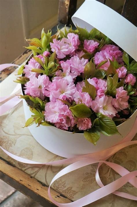 Shoprite Flowers Delivery At Joseph Florence Blog Shoprite Flowers Delivery At Joseph Florence Blog