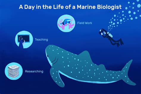Skills Needed For Marine Biology Careers Skills Needed For Marine Biology Careers