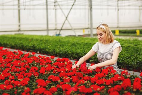 Start A Florist Business With 6 Simple Steps Desygner Start A Florist Business With 6 Simple Steps Desygner