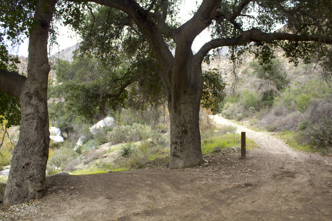 Take A Spring Hike To A Waterfall With The Los Angeles Times Los Take A Spring Hike To A Waterfall With The Los Angeles Times Los