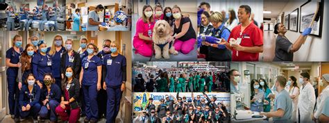 Tampa General Careers