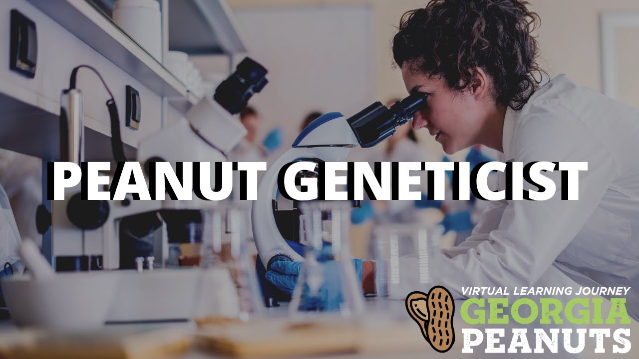 Technical Agronomist Peanut Careers Youtube Technical Agronomist Peanut Careers Youtube