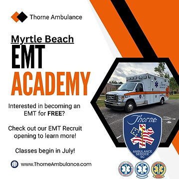 Thorne Careers