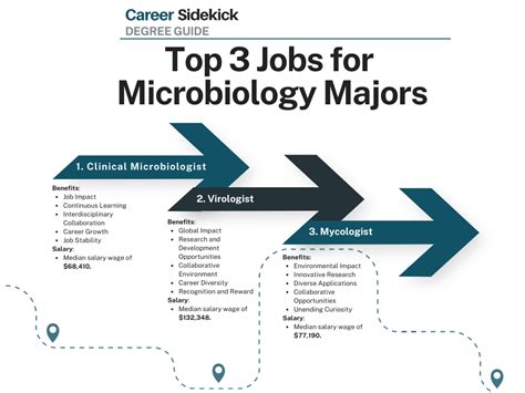 Top 15 Microbiology Degree Jobs Career Sidekick Top 15 Microbiology Degree Jobs Career Sidekick