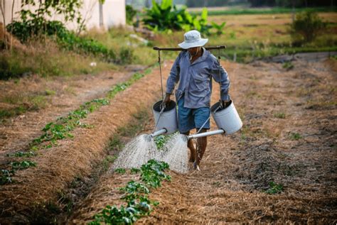 Top 6 Best Agriculture Jobs 2017 Ranking Most Popular Jobs In Top 6 Best Agriculture Jobs 2017 Ranking Most Popular Jobs In