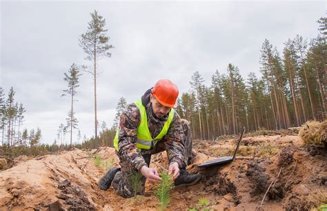 Top Jobs That Are Outdoors 11 Careers Working Outdoors Snowskool