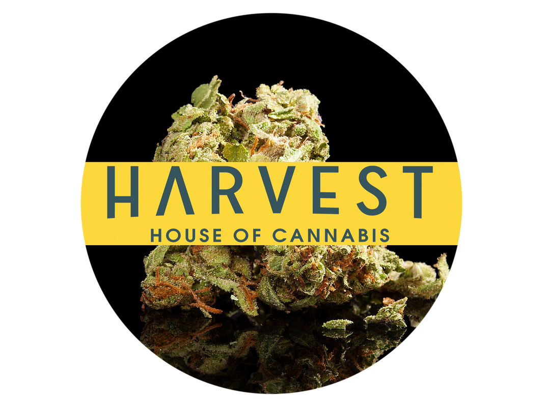 Top Medical Marijuana Dispensaries In Ny Guide Top Medical Marijuana Dispensaries In Ny Guide