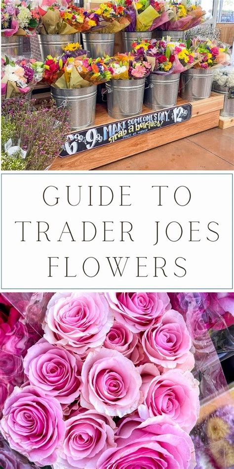 Trader Joes Order