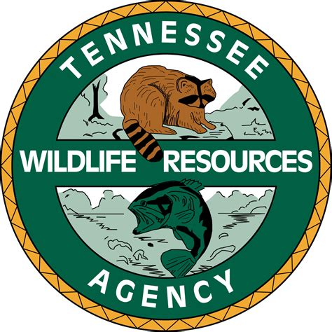 Twra Careers