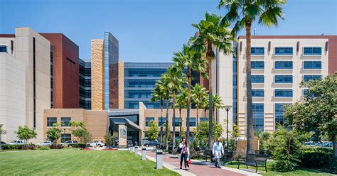 Uci Health Careers