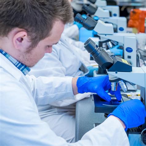 Undergraduate Programs Pathology University Of Utah Health Undergraduate Programs Pathology University Of Utah Health