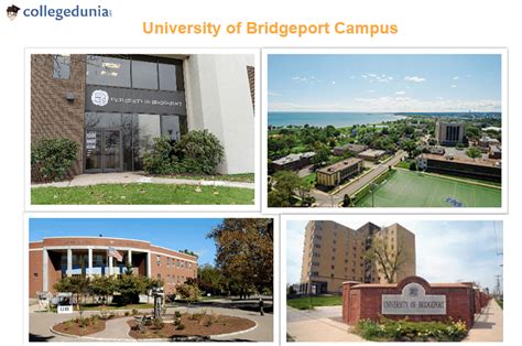 University Of Bridgeport Fees 2025 Scholarships Admissions 2025 Rankings Programs University Of Bridgeport Fees 2025 Scholarships Admissions 2025 Rankings Programs