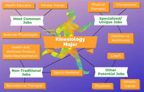 What Careers Can You Get With A Kinesiology Degree