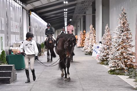 World Equestrian Center About Equestrian Careers Wec